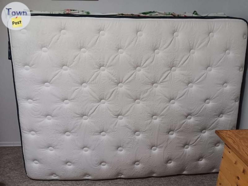 Queen Bed - 2 - 1073511-1723581145