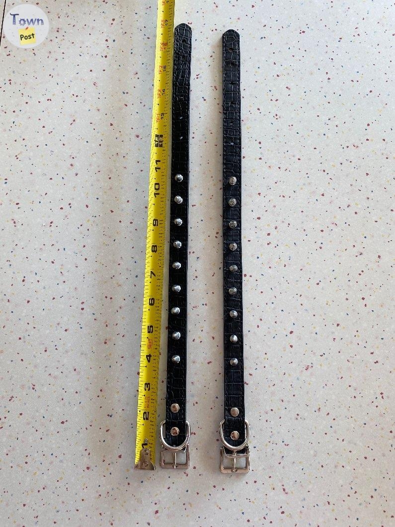 2 Spiked dog collars medium  - 1 - 1073546-1723588287