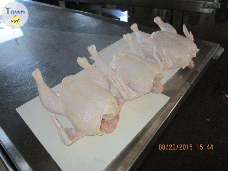 Farm Fresh Chickens For Sale - 2 - 1073880-1723664051_0