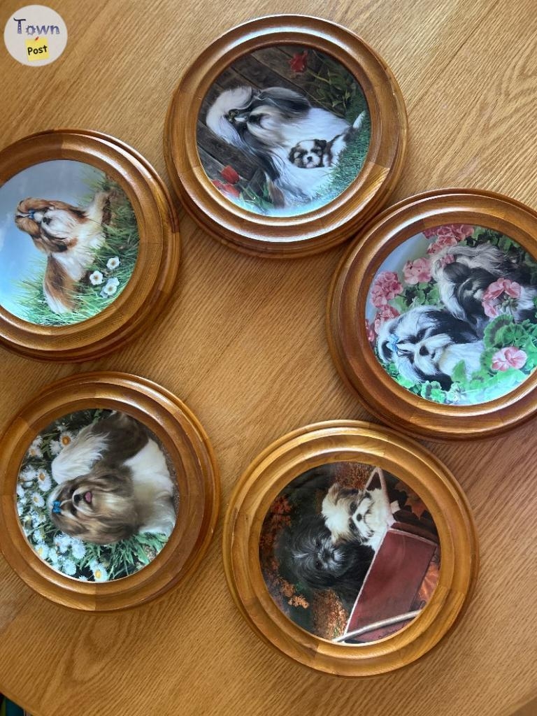 Danbury Mint Shihtzu collector plates - 1 - 1075437-1724108442