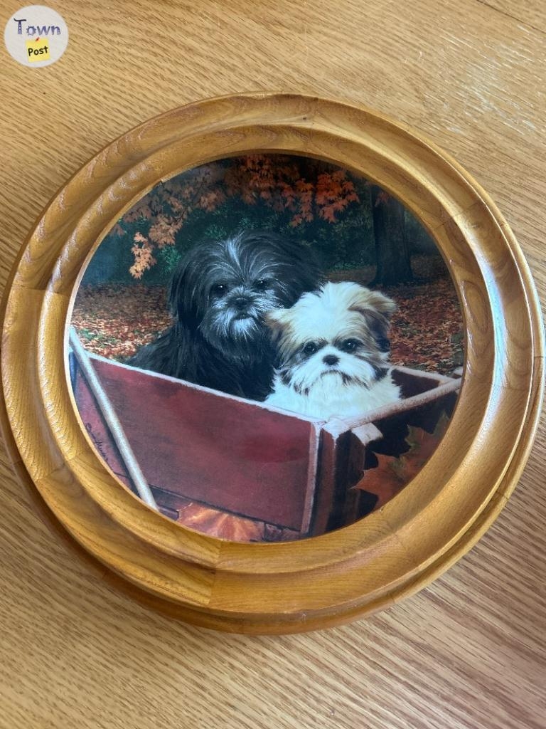 Danbury Mint Shihtzu collector plates - 2 - 1075437-1724108442_0