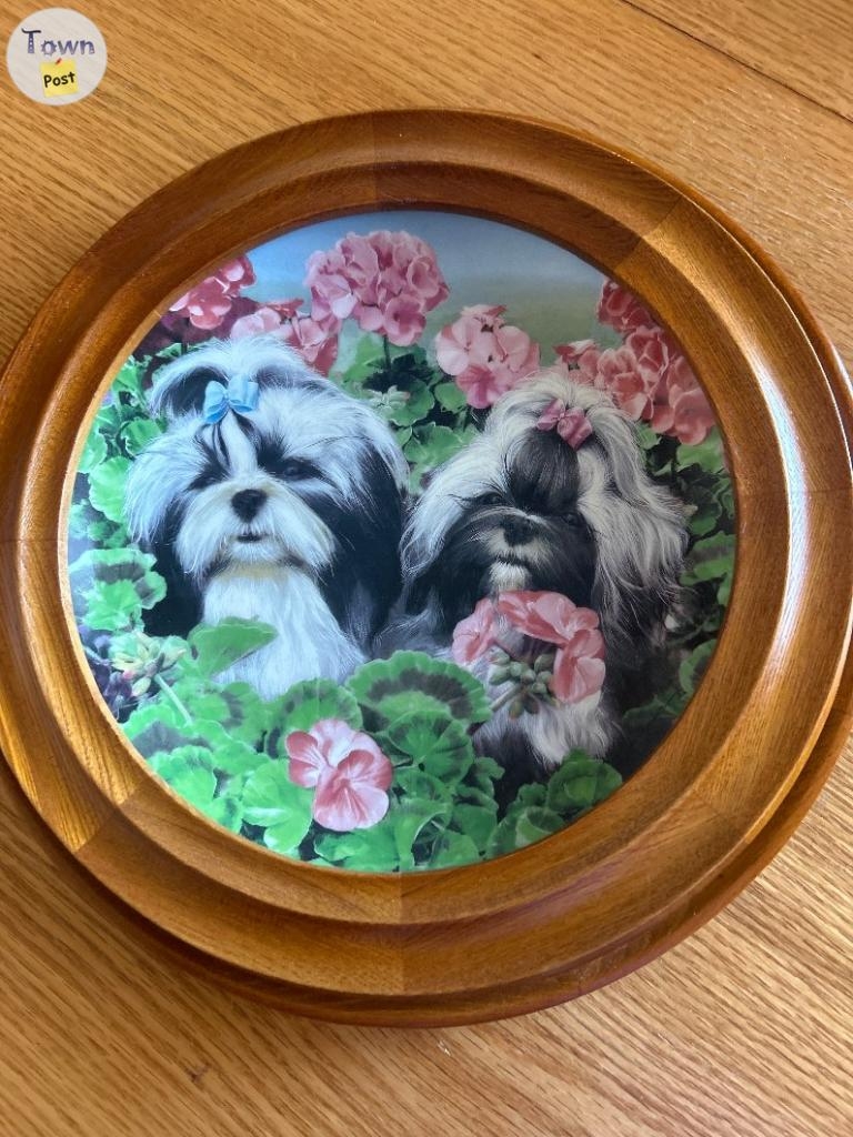 Danbury Mint Shihtzu collector plates - 3 - 1075437-1724108442_1