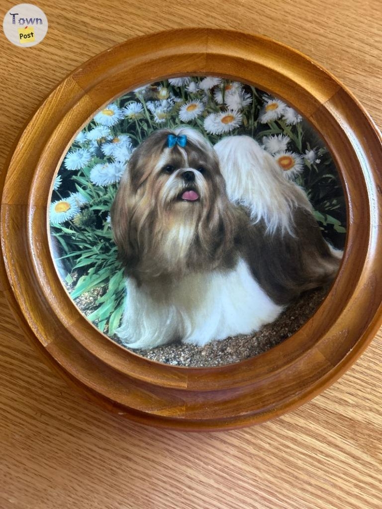 Danbury Mint Shihtzu collector plates - 4 - 1075437-1724108442_2