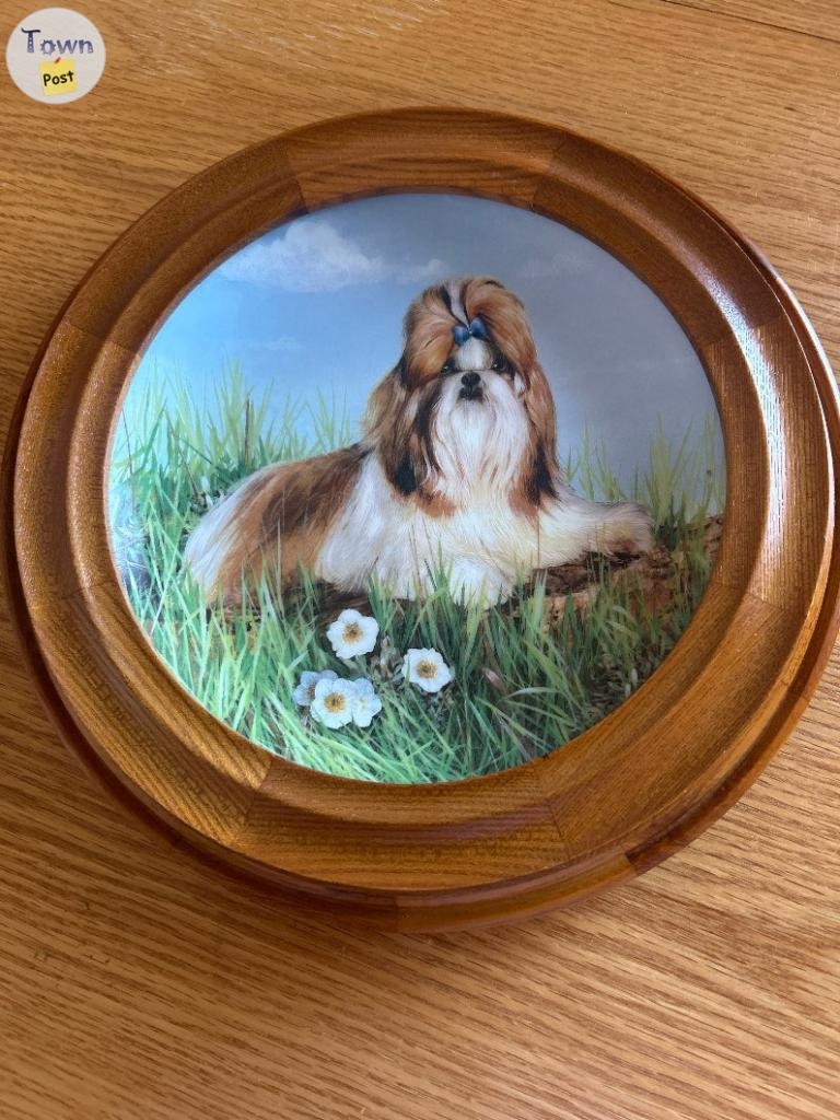 Danbury Mint Shihtzu collector plates - 5 - 1075437-1724108442_3