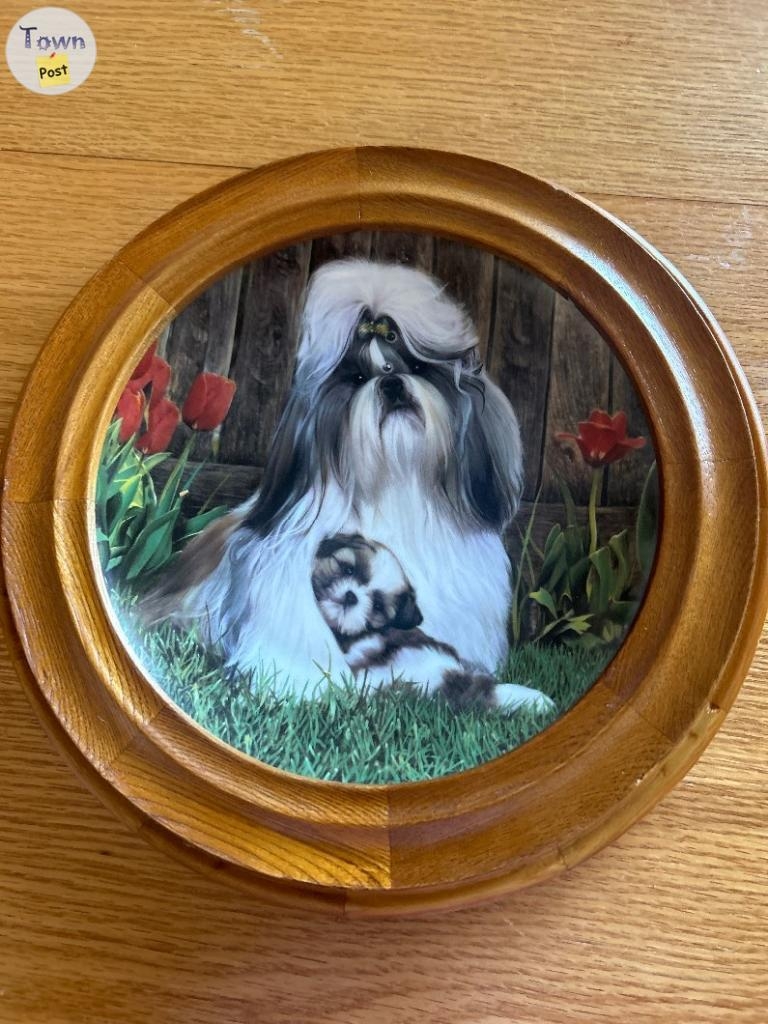 Danbury Mint Shihtzu collector plates - 6 - 1075437-1724108442_4