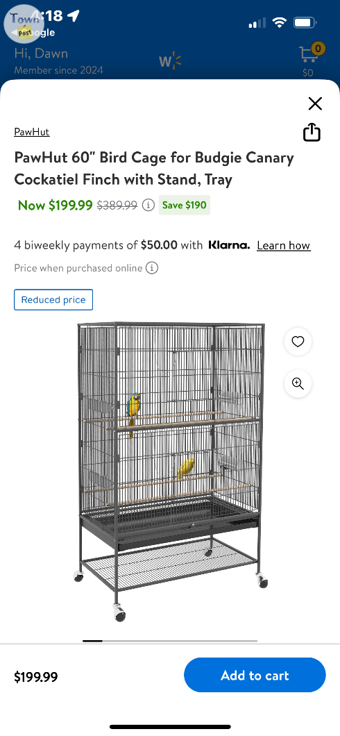 Parakeets with cage - 2 - 1077070-1724555344