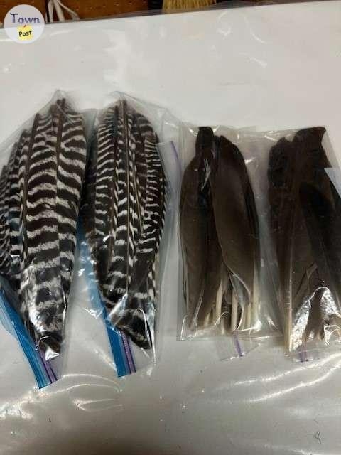 Traditional Archery Feathers - 5 - 1079980-1725364991_3