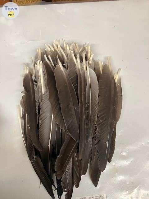 Traditional Archery Feathers - 6 - 1079980-1725364991_4