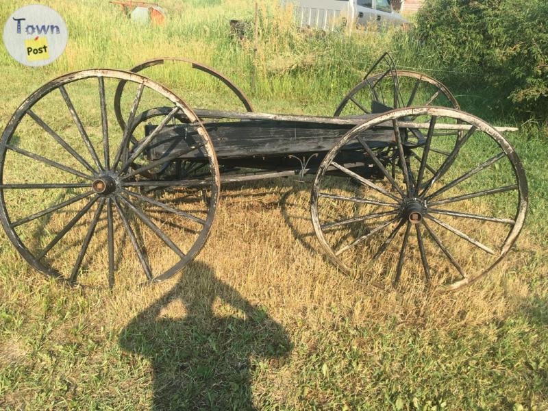 Antique Horse Drawn Buggy - 3 - 1080278-1725425717_1