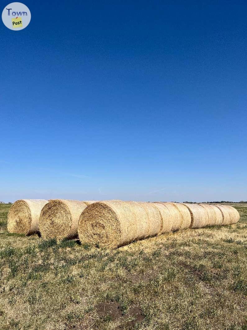 Hay For Sale - 2 - 1081601-1725773376_0