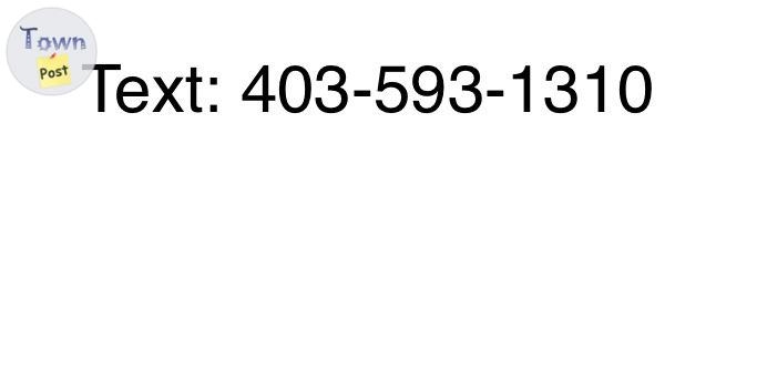 Sako L579 22-250  - 10 - 1083319-1726188441_8