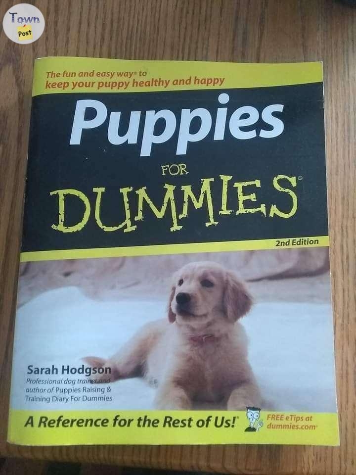 For Dummies books - 11 - 1090722-1728159178_9