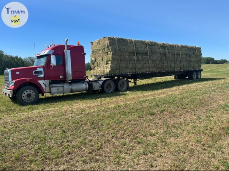 Square hay straw - 1 - 1094881-1729225013