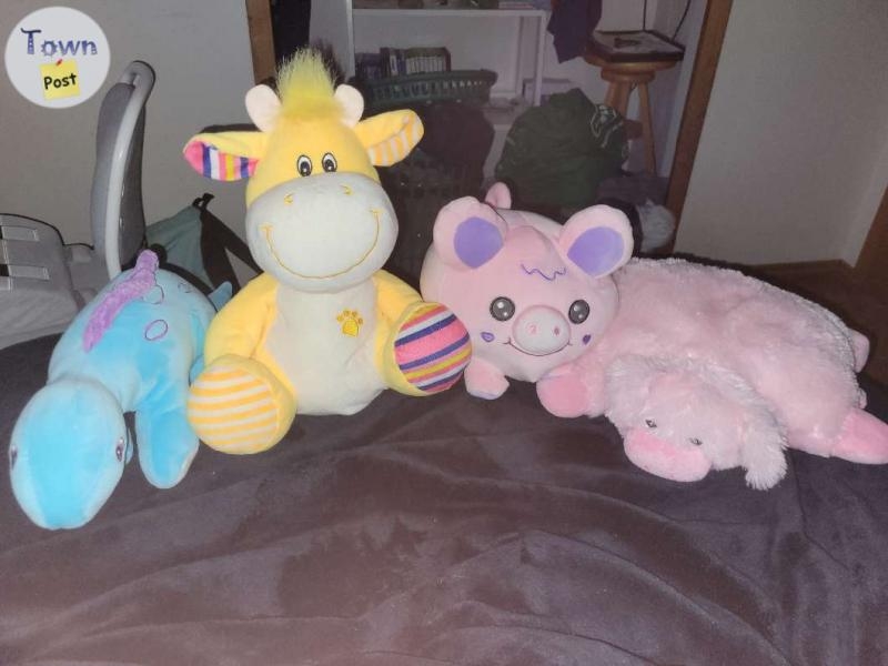 Assorted Stuffed Animals  - 1 - 1096330-1729611047