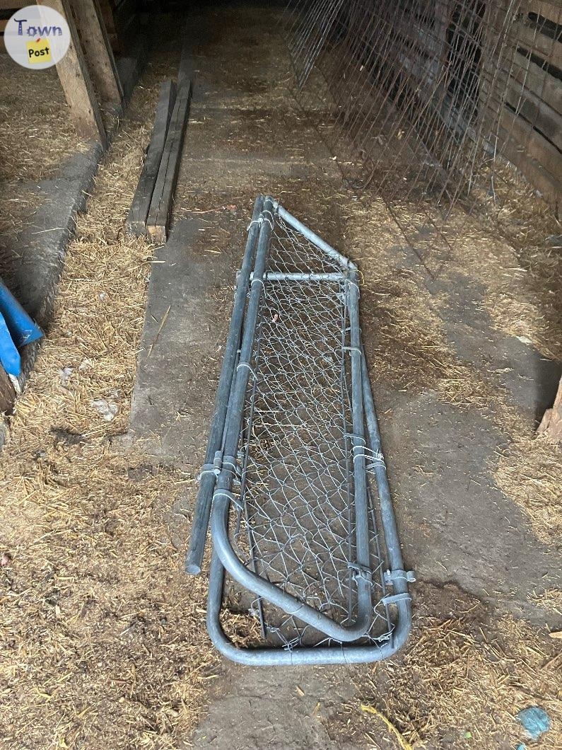 Cattle / Hog Panel and Concrete Wire Mesh - 4 - 1097681-1729965941_2