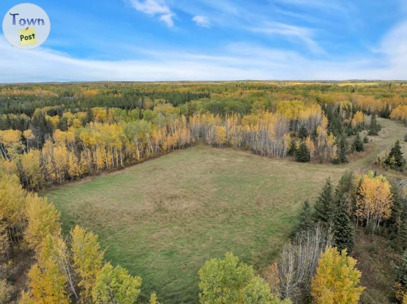 69+ Acres NW of St. Albert - 20 - 995578-1728003641_18