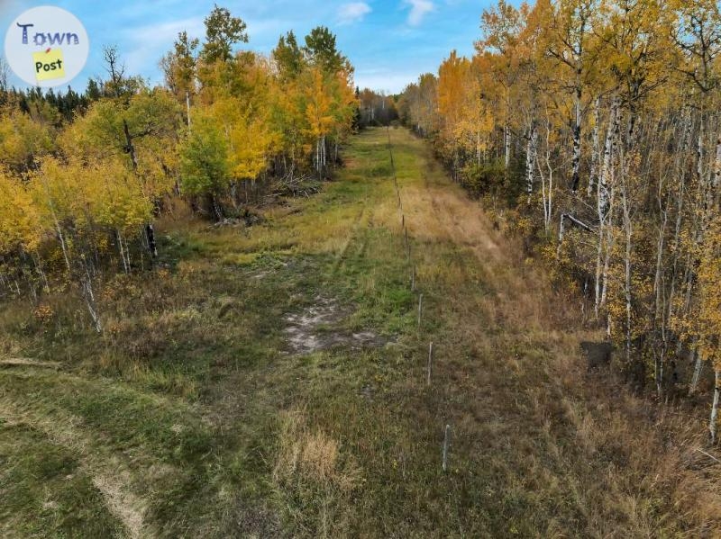 69+ Acres NW of St. Albert - 21 - 995578-1728003641_19