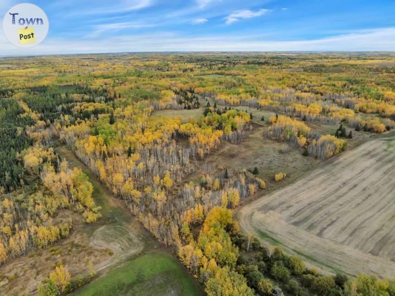 69+ Acres NW of St. Albert - 11 - 995578-1728003641_9