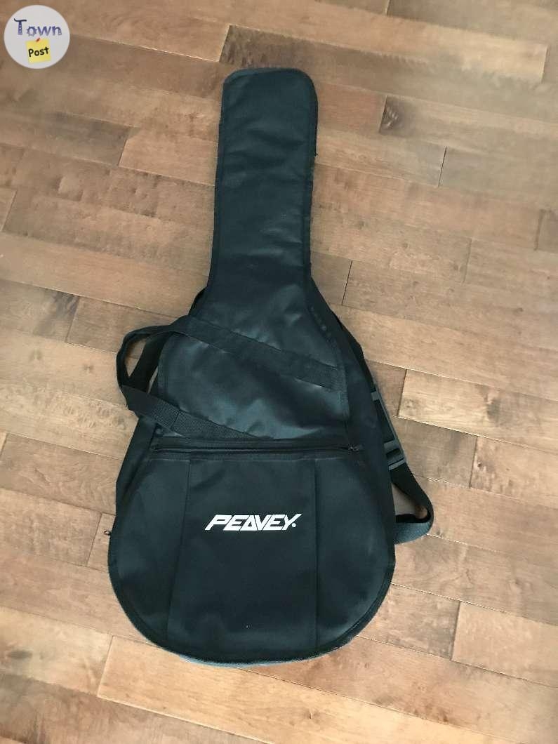 Guitar case - 1 - 1100666-1730689755