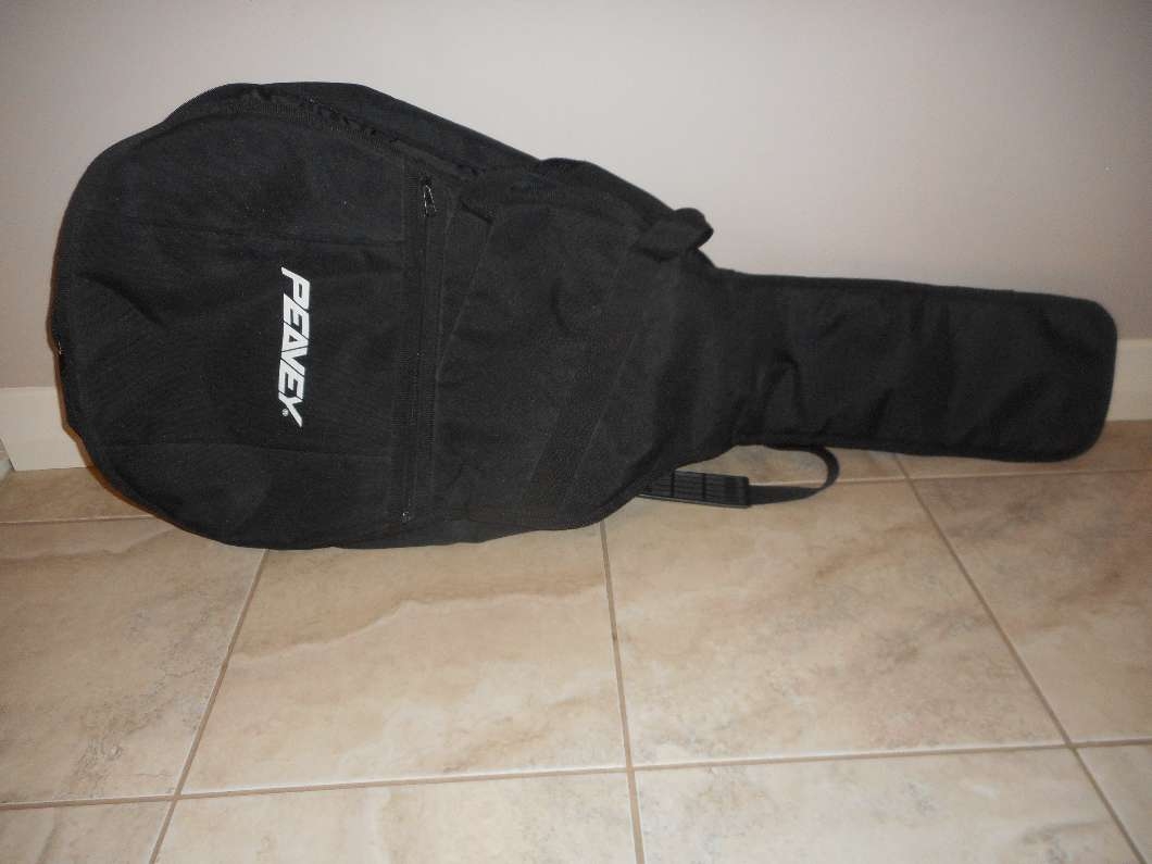 Guitar case - 2 - 1100666-1730689755