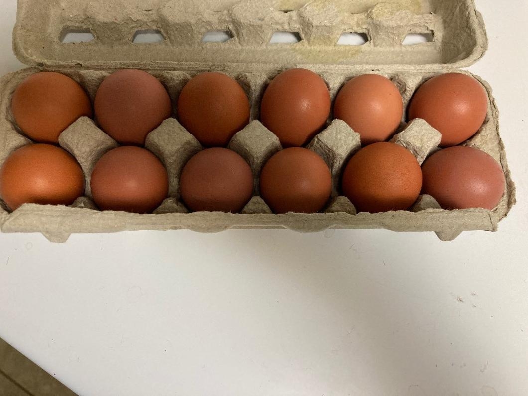 Brown farm eggs (medium/large) for sale - 1 - 1105643-1731956277