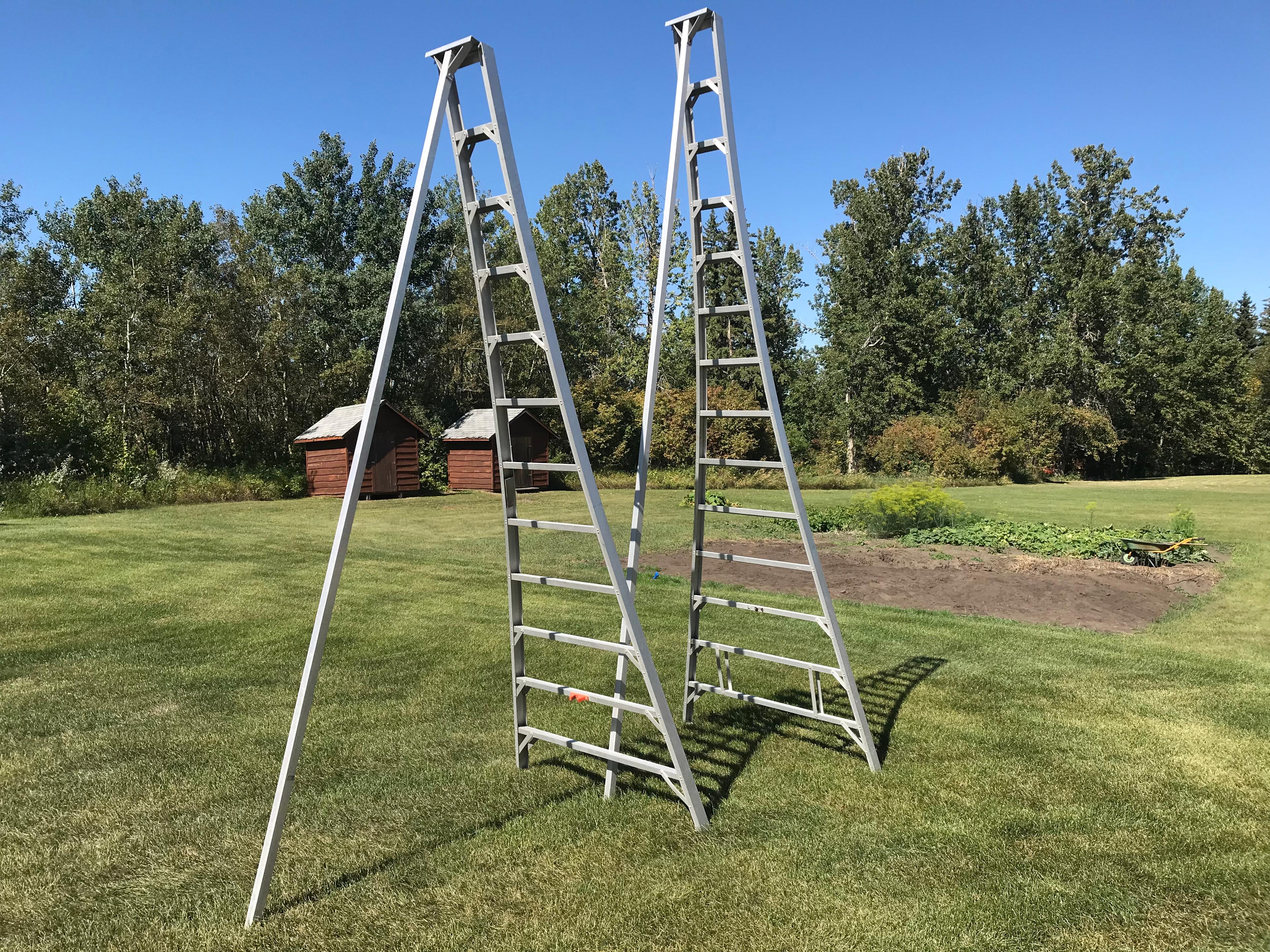 Photo of Orchard ladders