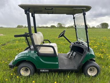 Photo of 2018 Yamaha Drive 2 Electric Golf Cart - 1