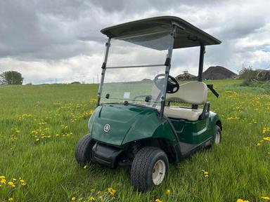 Photo of 2018 Yamaha Drive 2 Electric Golf Cart - 2