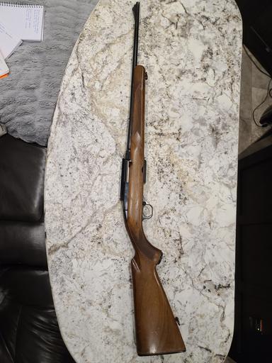 Photo of Pre 64 Winchester Model 100 308 Cal. - 2