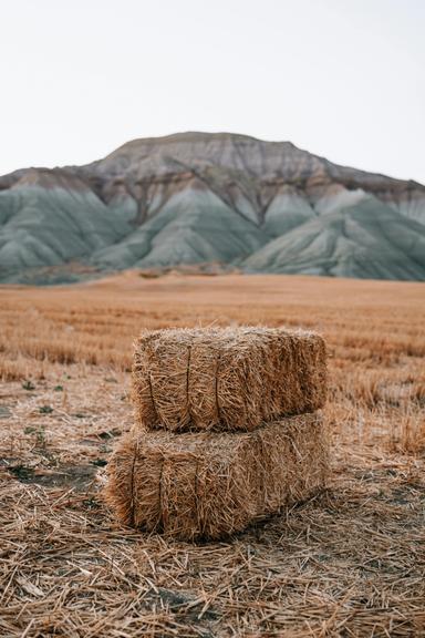 Photo of ISO Square Straw Bales - 1