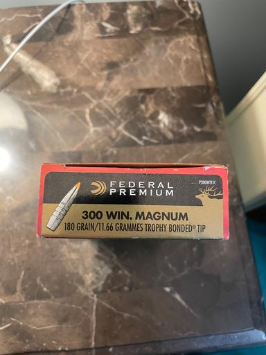 Photo of Federal Premium bonded tip 300 win mag ammo - 1