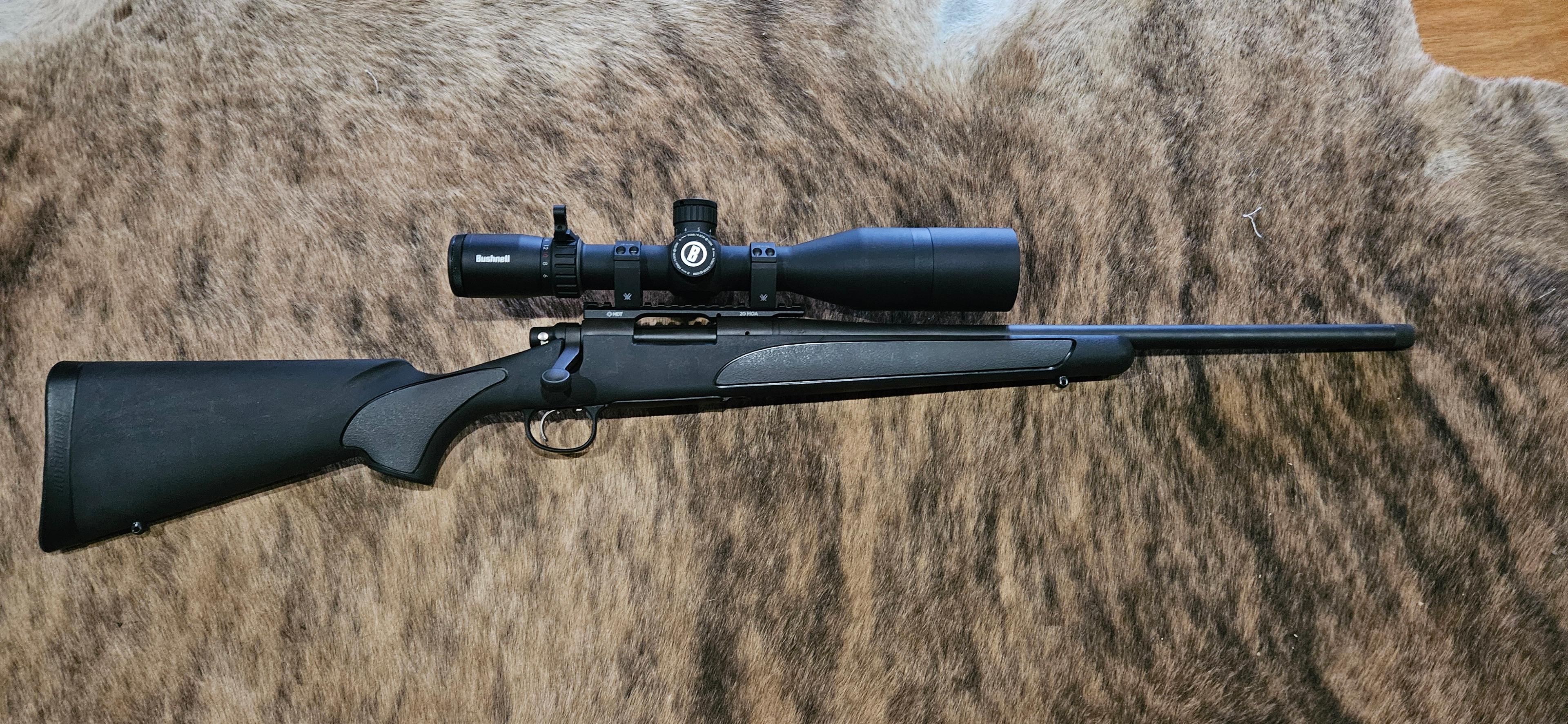 Photo of Nice rem 700 223 with Bushnell forge 3-24x56 