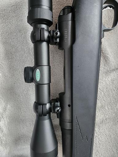 Photo of 308 savage 11 - 2