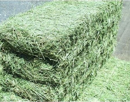 Photo of Hay Bales For sale now available.