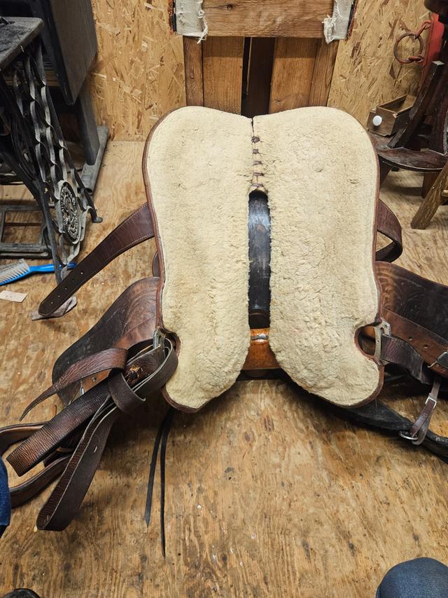 Photo of F eamor saddles