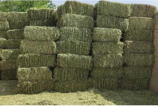 Photo of We Have Hay for livestock