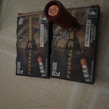 Photo of Various Ammo and 12gauge leather belt - 1