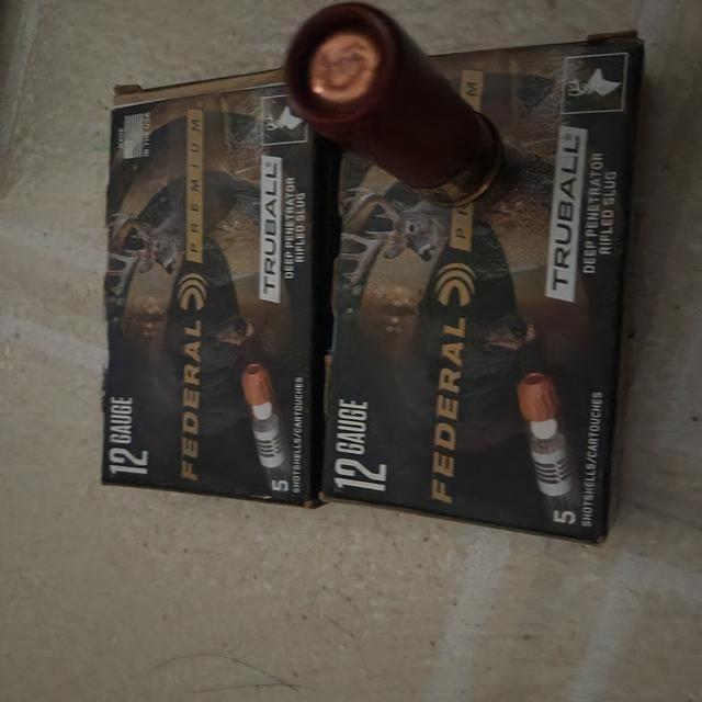 Photo of Various Ammo and 12gauge leather belt