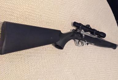 Photo of Mossberg intl 802 plinkster - 1