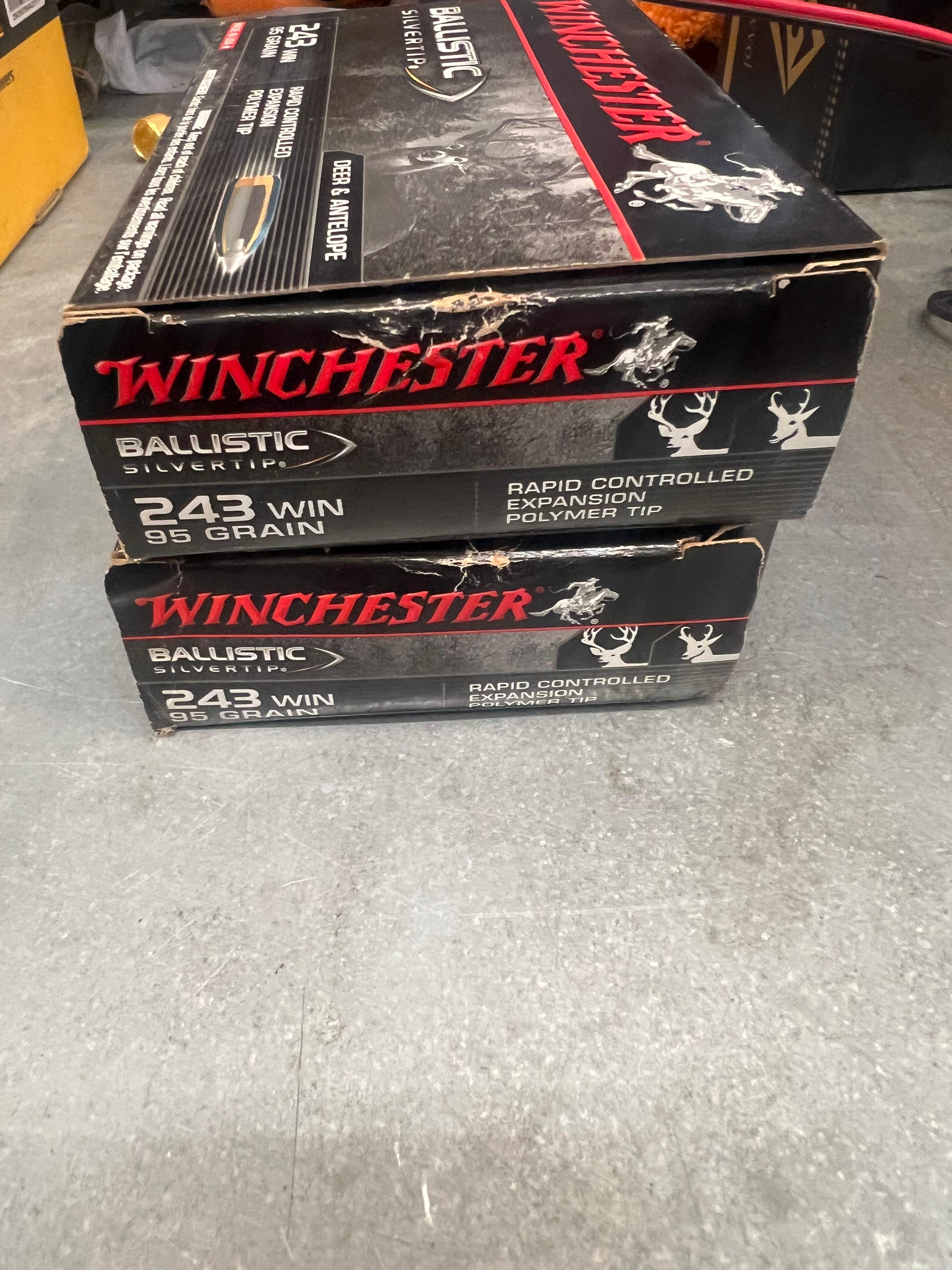 Photo of 243 Winchester Ammo x2