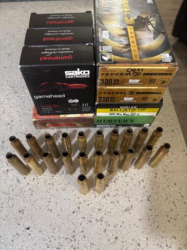 Photo of 300 Win Mag Brass - 2