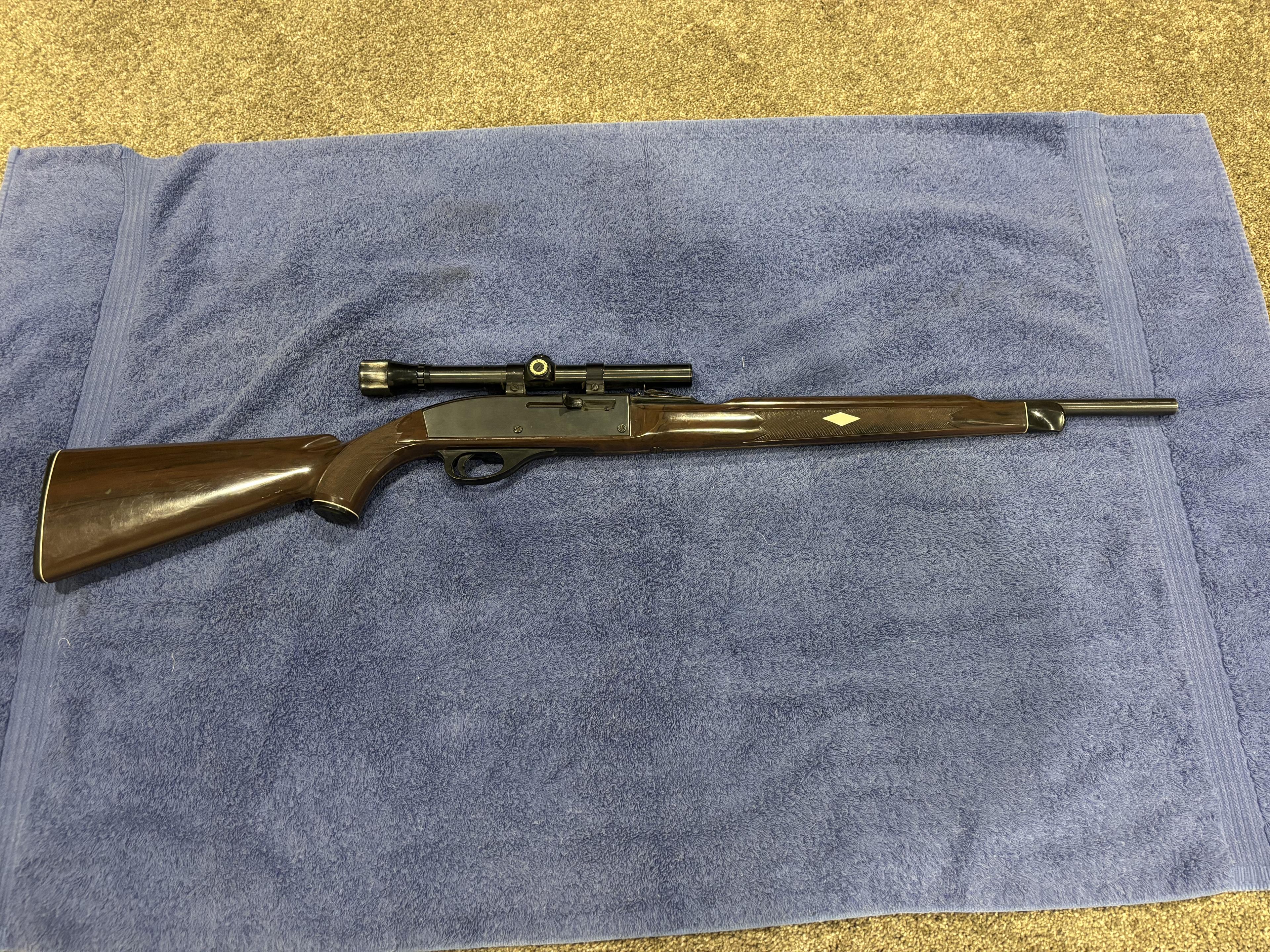 Photo of Remington Nylon 66