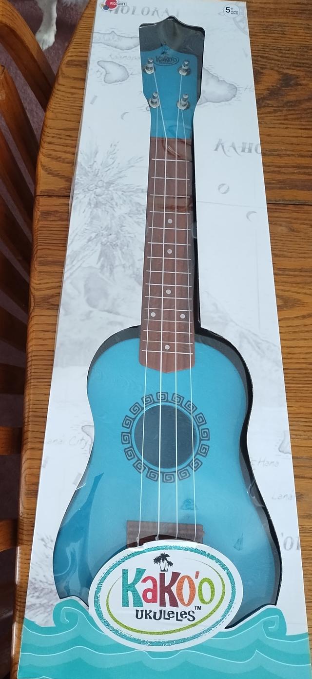 Photo of Brand New Ukulele 