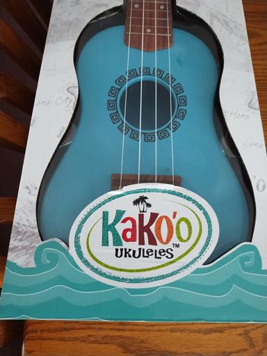 Photo of Brand New Ukulele  - 2