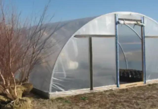 Photo of sturdy metal greenhouse quonset frame. Just add clear plastic