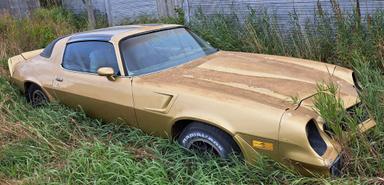 Photo of 1981 camaro Z-28 T-Top - 1