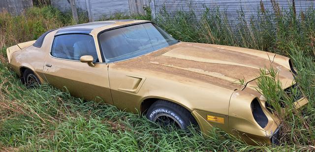 Photo of 1981 camaro Z-28 T-Top