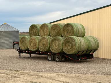 Photo of Alfalfa Hay & Greenfeed for sale - 1