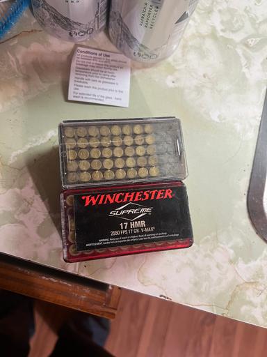 Photo of 17hmr ammo - 1