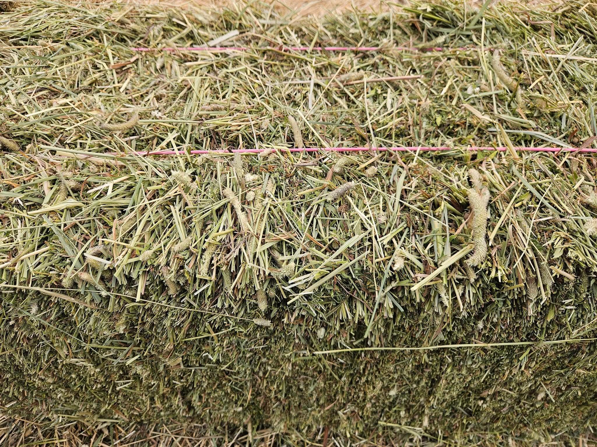 Photo of Small square hay bales